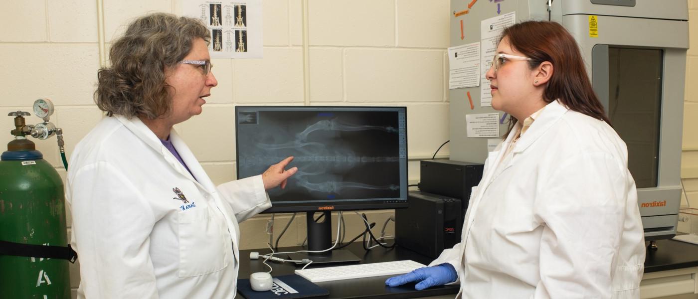 A student and professor review an X-ray on a monitor